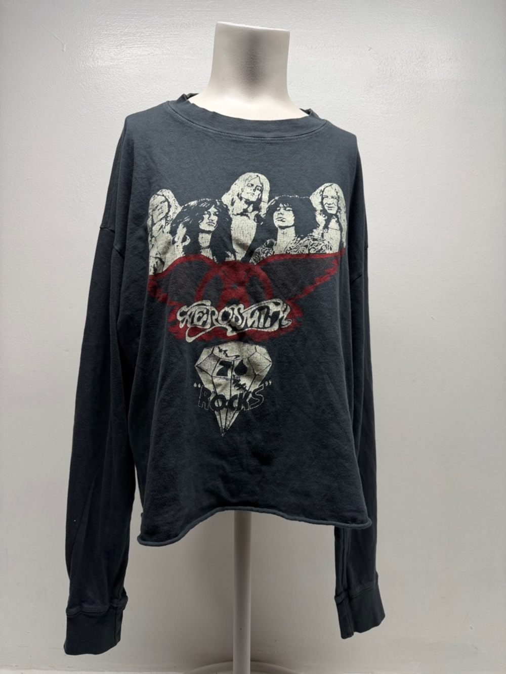 Daydreamer Aerosmith Band Graphic Cropped Long Sleeve Top Shirt Gray Size Medium - Picture 2 of 7